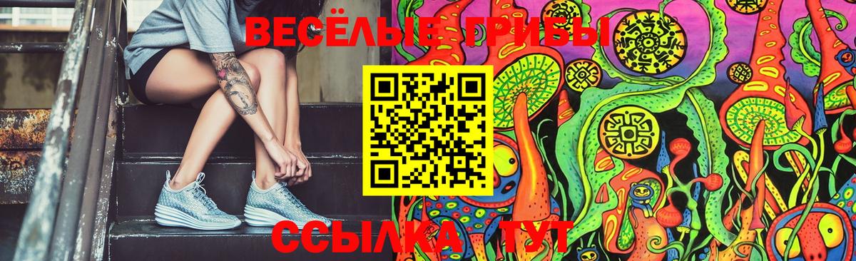 Псилоцибиновые грибы Cubensis  Вход с VPN  Галлюциногенные грибы Cubensis  Кемерово 