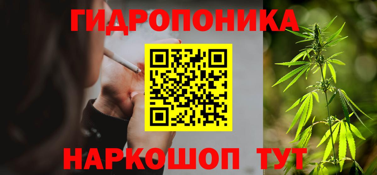 Конопля план Кемерово
